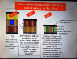 Re: Varroa Behandlung ohne Ameisensäure 