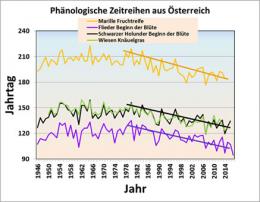 Re: 25.1. erster Polleneintrag