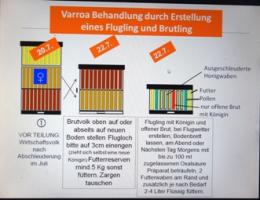 Varroa Behandlung ohne Ameisensäure 