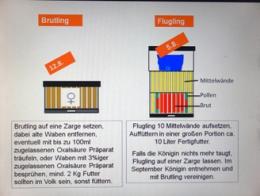 Varroa Behandlung ohne Ameisensäure 