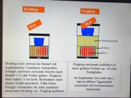 Varroa Behandlung ohne Ameisensäure 