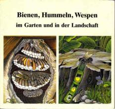 toller Ratgeber über Solitärbienen, Wildbienen, Bienen, Hummeln, Wespen